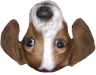 FrankerFaceZ